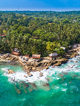 Wildlife Safari Adventure