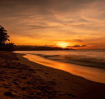 Tropical Shores & Golden Sunsets